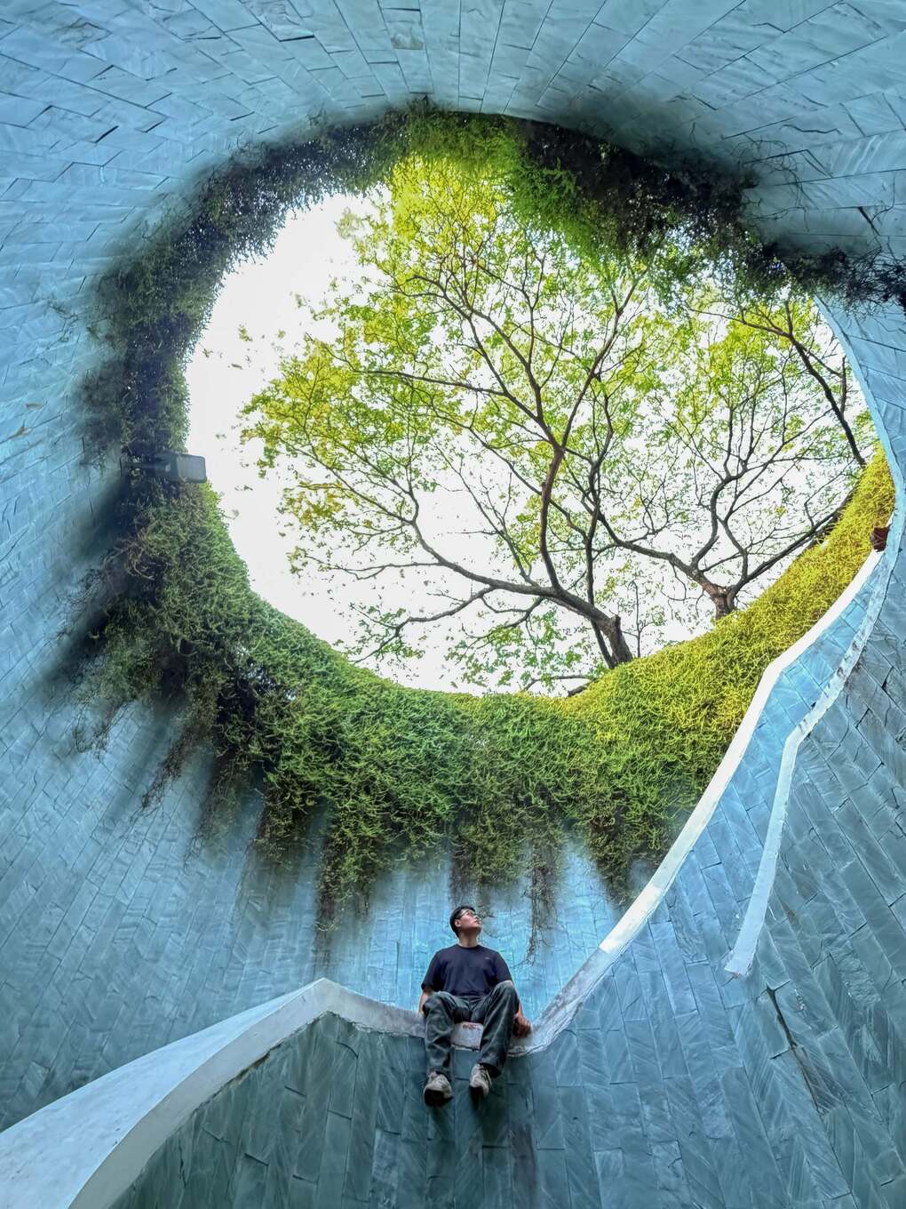 Duy Mạnh chụp ảnh tại hầm cây Fort Canning Tree Tunnel sáng 8/9 trước khi ra sân bay về Việt Nam. Ảnh: Duy Mạnh