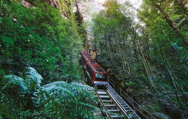 Cận cảnh Scenic Railway, tuyến tàu có độ dốc kỷ lục đưa du khách khám phá lòng thung lũng Blue Mountains. BM-Railway-in-forest-landscape-6080-2980